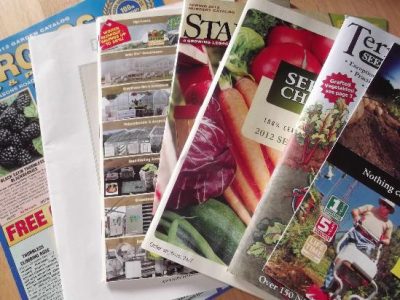Garden Planning: Can't Wait to Dig In Image
